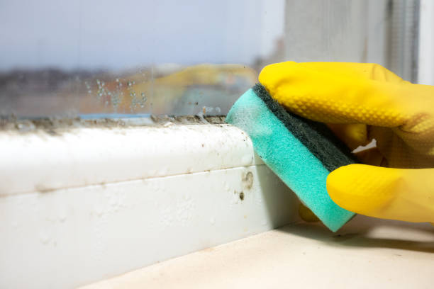 Best Commercial Mold Remediation in Thorofare, NJ